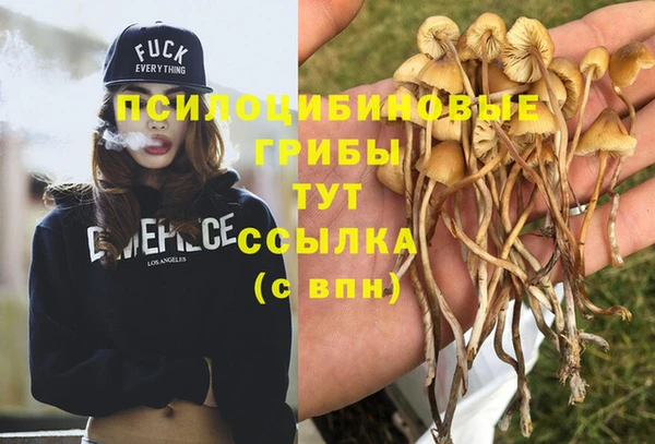spice Алексин