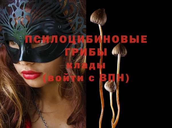 ГАЛЛЮЦИНОГЕННЫЕ ГРИБЫ Алзамай