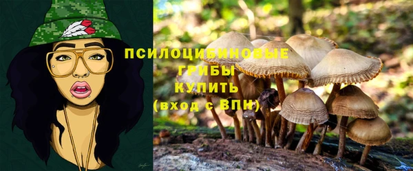 PSILOCYBIN Абдулино