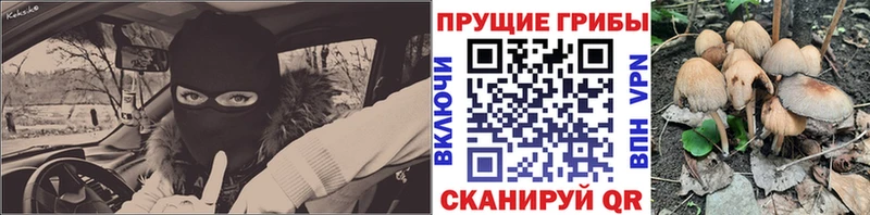 Галлюциногенные грибы Psilocybine cubensis  купить наркотик  Чкаловск 
